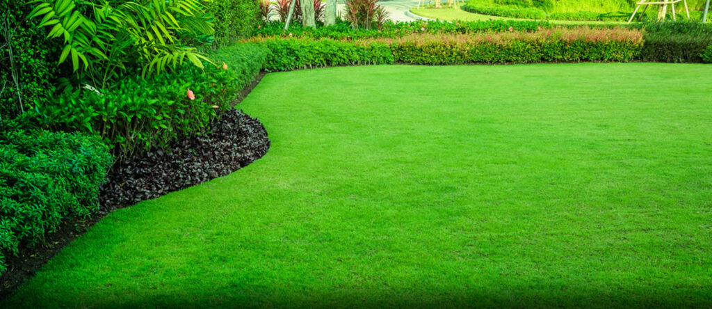 landscaping contractor